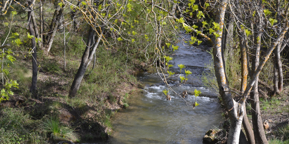 Río Mesa